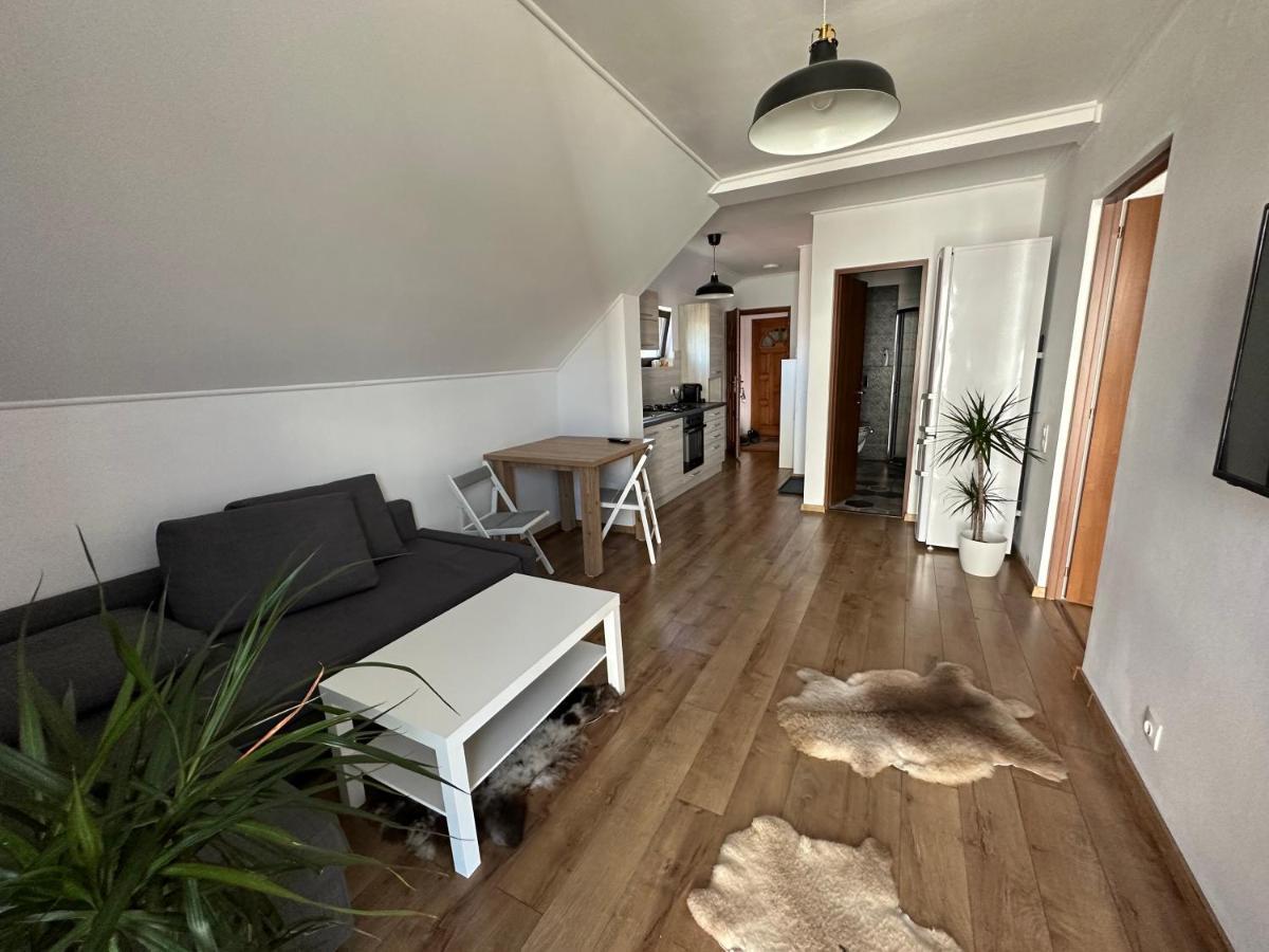 Bokorlak 4 Appartement Odorheiu Secuiesc Buitenkant foto